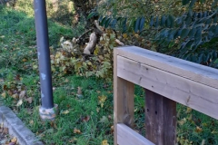2023-11-08-Taglio-piante-sul-Gardellone-2