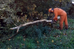 2023-11-08-Taglio-piante-sul-Gardellone-5