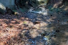 2023-11-08-Taglio-piante-sul-Gardellone-8