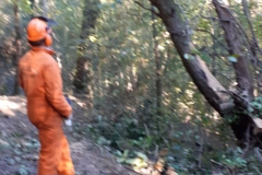 2023-11-08-Taglio-piante-sul-Gardellone-9