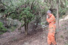 2023-10-11-Taglio-piante-sul-Gardellone-2