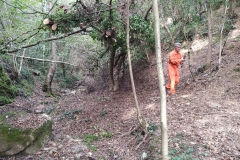 2023-10-11-Taglio-piante-sul-Gardellone-4