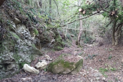 2023-10-11-Taglio-piante-sul-Gardellone-5