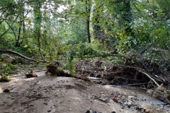 2024 - 2° Sopralluogo sul Gardellone dopo alluvione (11.09.2024)