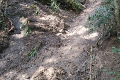 2024-09-11-Sopraluogo-Gardellone-dopo-alluvione-6