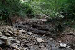 2024-09-11-Sopraluogo-Gardellone-dopo-alluvione-9