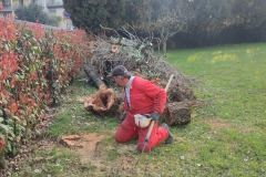 2024 - Carico piante tagliate in Parrocchia (14.03.2024)