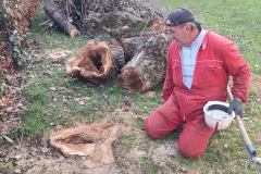 2024-03-14-Carico-piante-tagliate-parrocchia-2