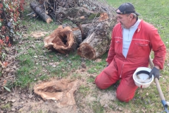 2024-03-14-Carico-piante-tagliate-parrocchia-3