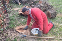 2024-03-14-Carico-piante-tagliate-parrocchia-4