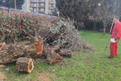 2024-03-14-Carico-piante-tagliate-parrocchia-6
