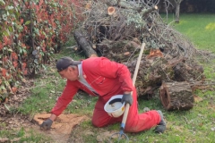 2024-03-14-Carico-piante-tagliate-parrocchia-8