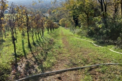 2024-11-23-Esercitazione-AIB-Grumello-del-Monte-15