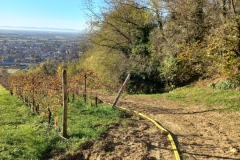 2024-11-23-Esercitazione-AIB-Grumello-del-Monte-8