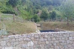 2024 - Fenile (14.08.2024)