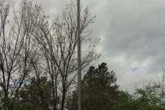 2024-04-01-Festa-del-Boscone-in-sede-1