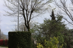 2024-04-01-Festa-del-Boscone-in-sede-100