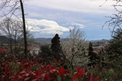 2024-04-01-Festa-del-Boscone-in-sede-11