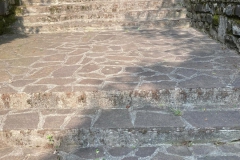 2024-08-07-Gradinata-Papillon-3