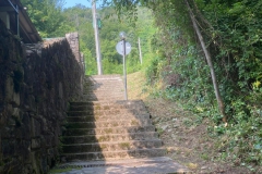 2024-08-07-Gradinata-Papillon-7