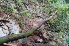 2024-09-25-Lavoro-di-repristino-sentieri-1