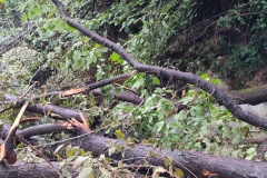 2024-09-25-Lavoro-di-repristino-sentieri-13