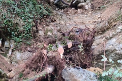 2024-09-25-Lavoro-di-repristino-sentieri-2