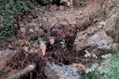 2024-09-25-Lavoro-di-repristino-sentieri-3