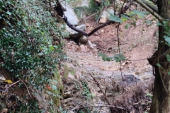 2024-09-25-Lavoro-di-repristino-sentieri-4