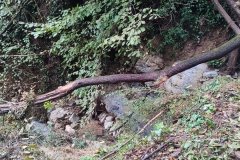 2024-09-25-Lavoro-di-repristino-sentieri-5