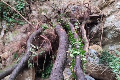 2024-09-25-Lavoro-di-repristino-sentieri-8