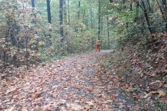 2024-10-23-Pista-ciclabile-Valmarina-15