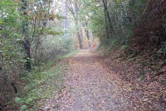 2024-10-23-Pista-ciclabile-Valmarina-18