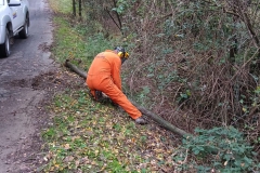 2024-10-23-Pista-ciclabile-Valmarina-28