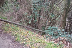 2024-10-23-Pista-ciclabile-Valmarina-29