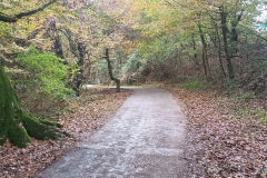 2024-10-23-Pista-ciclabile-Valmarina-3