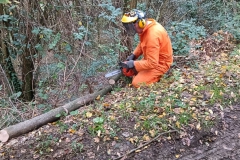 2024-10-23-Pista-ciclabile-Valmarina-30