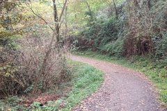 2024-10-23-Pista-ciclabile-Valmarina-4