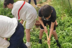 2024-05-10-Ragazzi-al-lavoro-nelle-serre-1