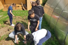 2024-05-10-Ragazzi-al-lavoro-nelle-serre-2