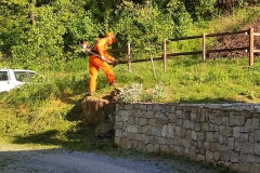 2024-04-24-Realizzazione-gradini-sentiero-407-e-pulizia-bosco-al-Fenile-6