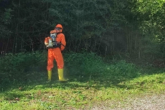 2024-04-24-Realizzazione-gradini-sentiero-407-e-pulizia-bosco-al-Fenile-8