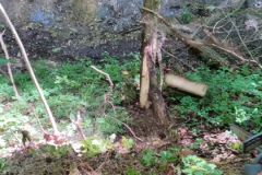 WhatsApp-Image-2024-04-25-at-11.51.14-1