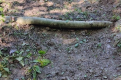 WhatsApp-Image-2024-04-25-at-11.51.14-4