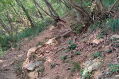 2024-08-07-Sentiero-Fenile-Croce-del-Boscone-1