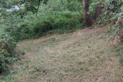 2024-08-07-Sentiero-Fenile-Croce-del-Boscone-6