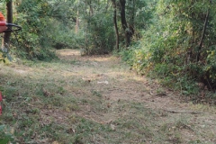 2024-08-07-Sentiero-Fenile-Croce-del-Boscone-7