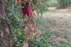 2024-08-07-Sentiero-Fenile-Croce-del-Boscone-8