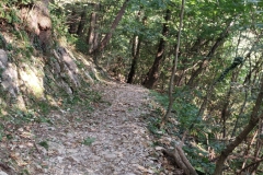 2024-08-28-Sentiero-nr.533-Ca-del-lac-forcella-del-sorriso-2