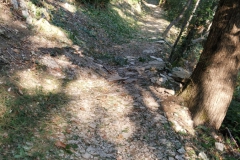 2024-08-28-Sentiero-nr.533-Ca-del-lac-forcella-del-sorriso-4